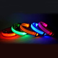 LED Glow-in-the-Dark Pet Collar