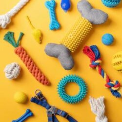 Toys