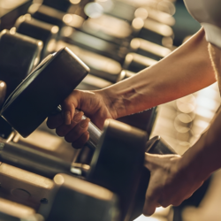 Fitness & Sports