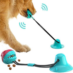 Suction Cup Tug & Chew Dog Toy