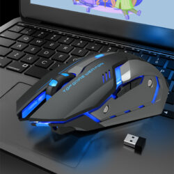 Wireless Silent Gaming Mouse with Fast Charging