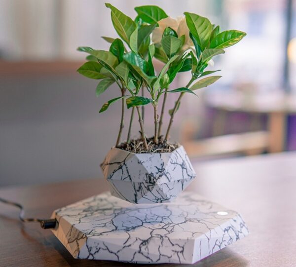 Levitating Marble Color Plant Pot - Image 10