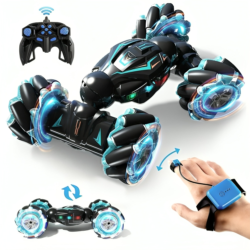 Remote Control & Electronic Toys