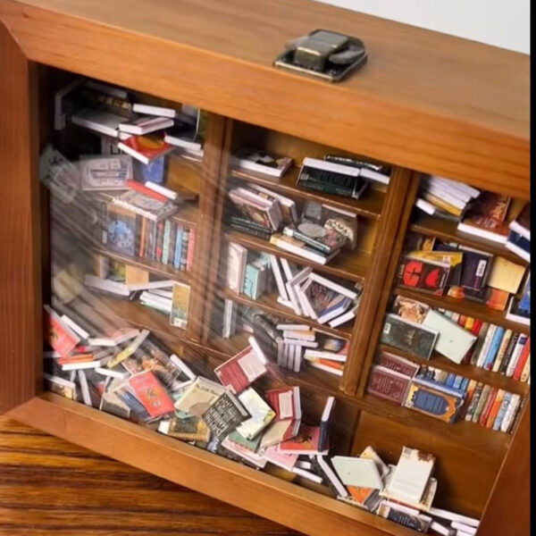 Anti-Anxiety Bookshelf Ornament - Image 3